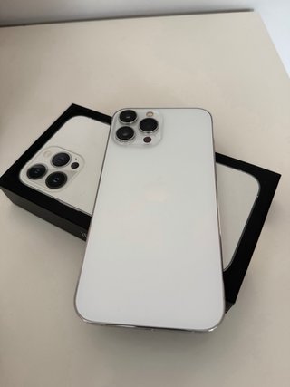 iPhone 13 Pro Max Nero/Argento
