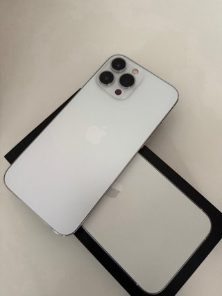 iPhone 13 Pro Max Nero/Argento