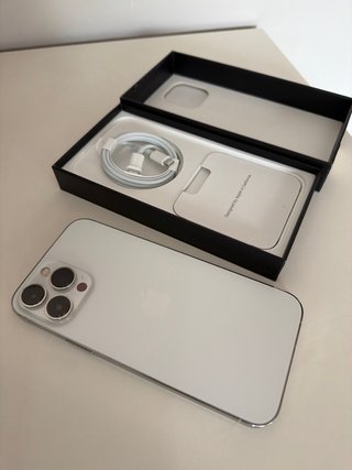 iPhone 13 Pro Max Nero/Argento