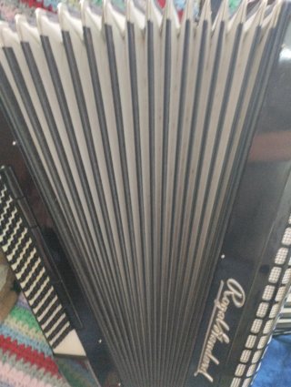 Acordeón Royal Standard + Amplificador
