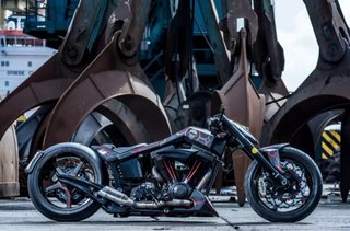 Harley Davidson V Rod Drag Lobo 3