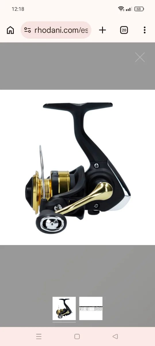 Carrete de pesca Daiwa RS 1000