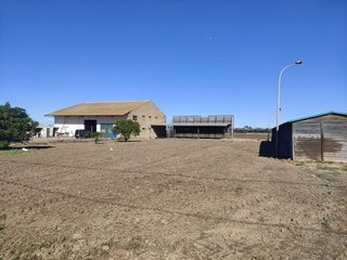 Terreno en alquiler en Pinedo en Valencia