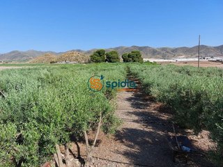 Casa rural en venta en Águilas ciudad en Águilas