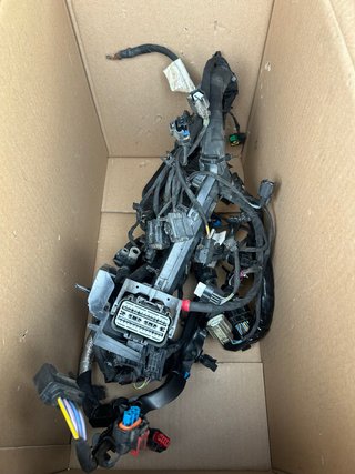CABLEADO PCM Ford Tourneo Courrier