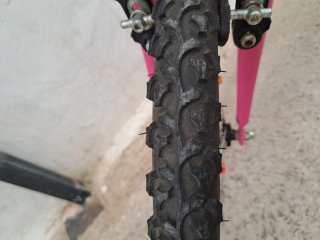 Bicicleta de niña 20"