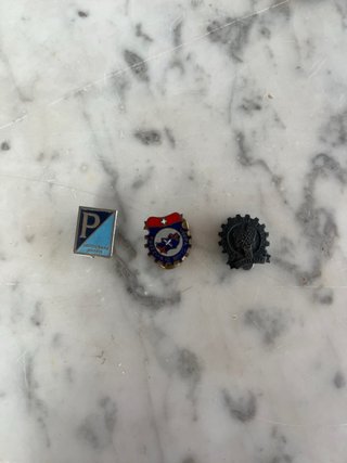 Variado de Pins