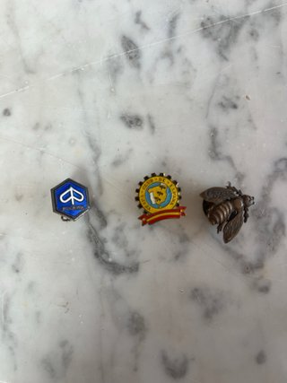 Variado de Pins