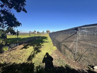 Terreno en venta en Palacios y Villafranca (Los)