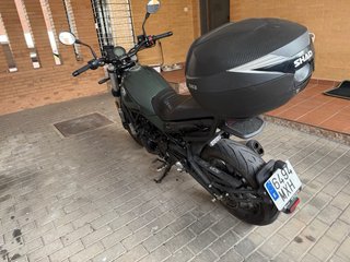 Benelli Leoncino 502