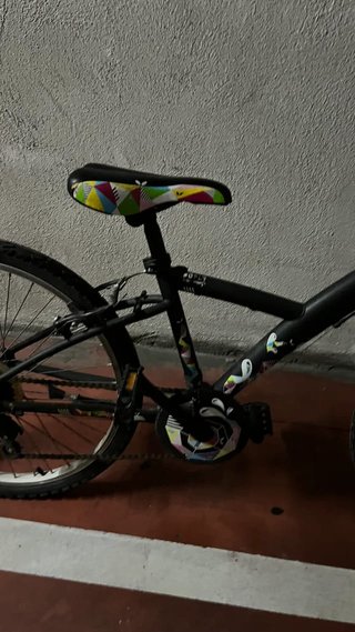 Bicicleta