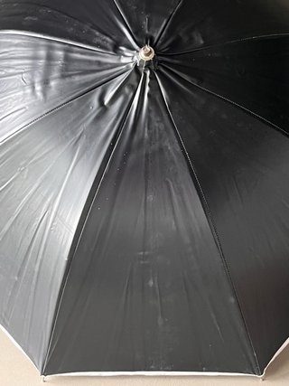 Profoto Umbrella Deep Translucent S