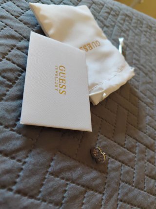 Pendientes Guess Plata