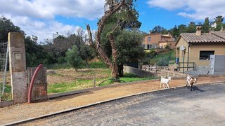 Terreno en venta en Mas Pere-Río de Oro en Calonge