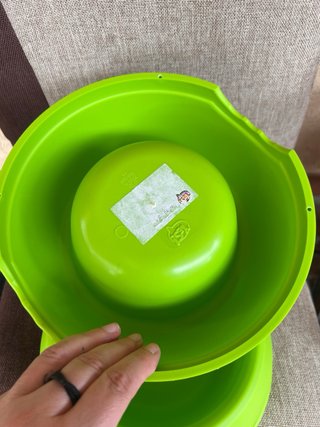 Set 2 Ciotole Cane Verdi