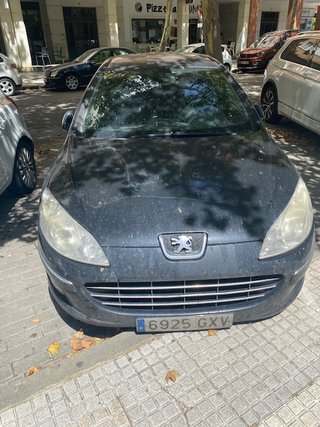 Peugeot 407 1.6 HDI 110