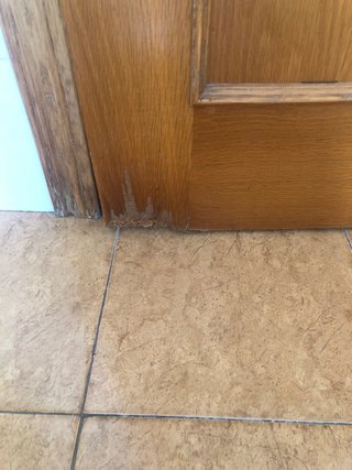 Puerta interior madera con cristal