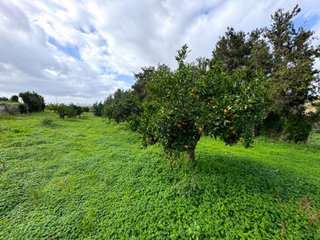 Casa rural en venta en Manacor Centro en Manacor