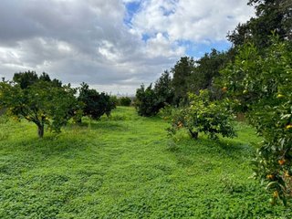 Casa rural en venta en Manacor Centro en Manacor