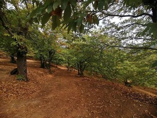 Casa rural en venta en Jubrique
