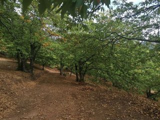 Casa rural en venta en Jubrique