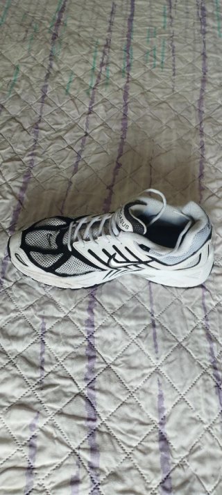 Nike Air Pegasus seminuevas