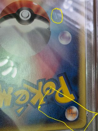Chinchou PSA