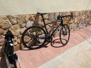 Giant TCR Advanced Ultegra