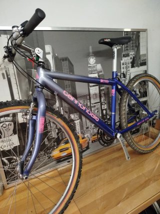 Cannondale SM2000