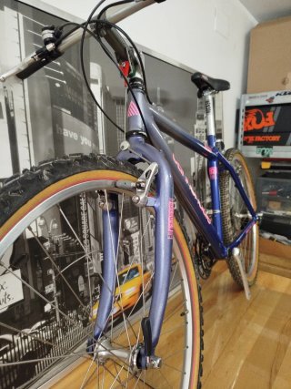 Cannondale SM2000