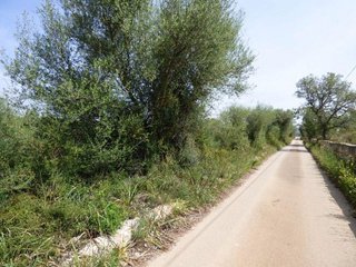 Terreno en venta en Llucmajor Interior en Llucmajor