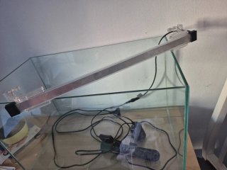 Pecera de cristal