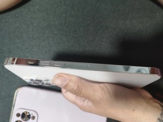 iPhone 13 Pro Max Rosa/Argento