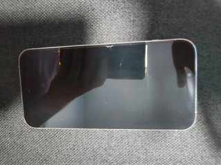 iPhone 13 Pro Max Rosa/Argento