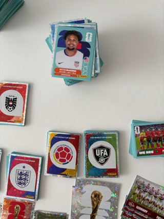Cambio Cromos Panini Mundial 2026