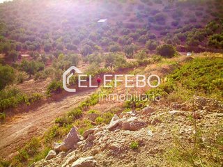 Terreno en venta en Archidona