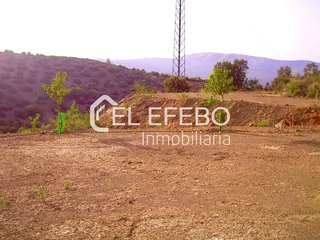 Terreno en venta en Archidona