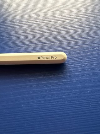 Apple Pencil Pro (puedo bajar un poco mas precio)