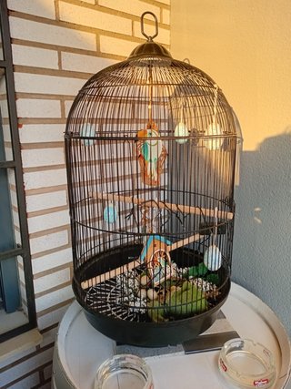 Jaula para pájaros negra y multicolor