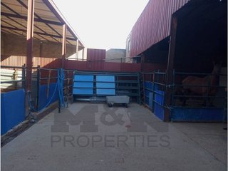 Local comercial en venta en Almendralejo