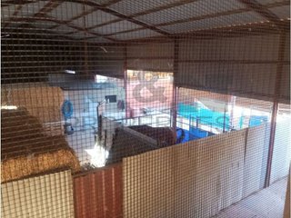 Local comercial en venta en Almendralejo