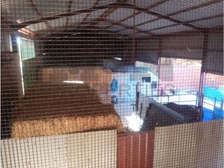 Local comercial en venta en Almendralejo