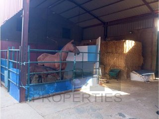 Local comercial en venta en Almendralejo