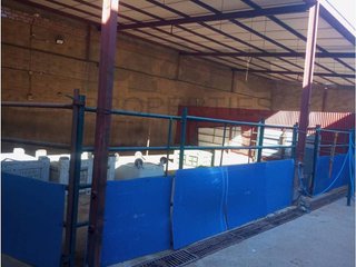 Local comercial en venta en Almendralejo