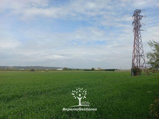 Solar en venta en Palma del Río