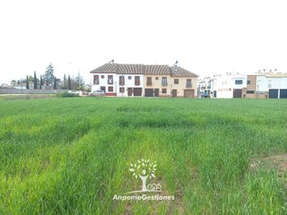 Solar en venta en Palma del Río