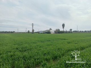 Solar en venta en Palma del Río