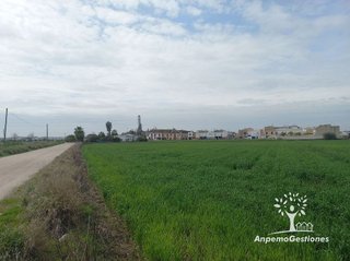Solar en venta en Palma del Río