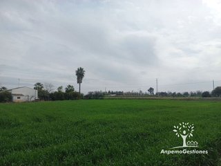 Solar en venta en Palma del Río