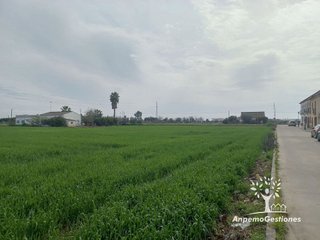 Solar en venta en Palma del Río